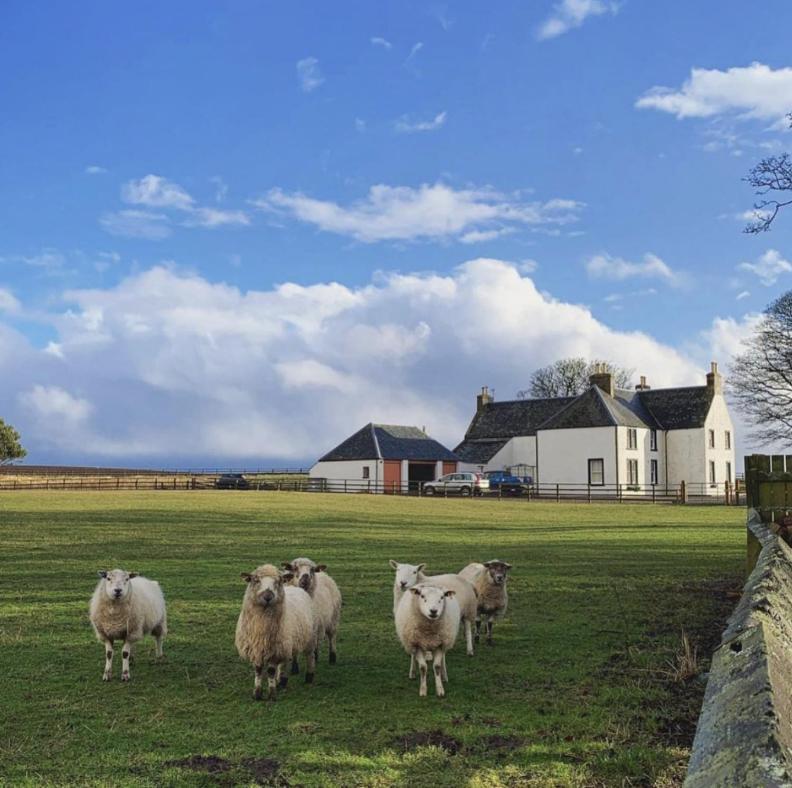 Tarrel Farmhouse Portmahomack Eksteriør billede